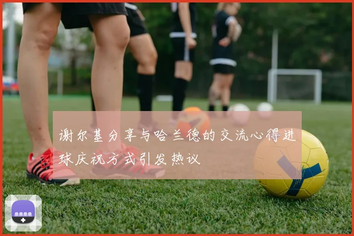 谢尔基分享与哈兰德的交流心得进球庆祝方式引发热议
