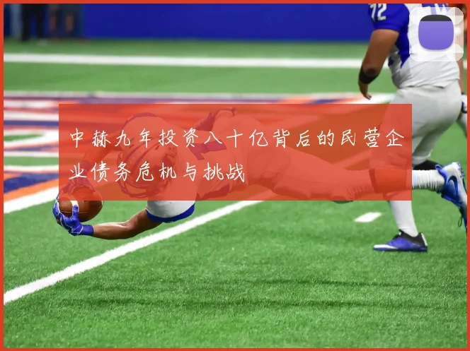 中赫九年投资八十亿背后的民营企业债务危机与挑战