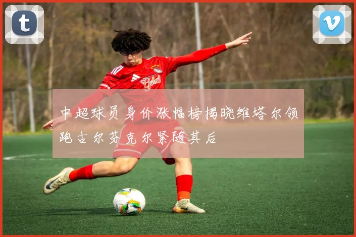中超球员身价涨幅榜揭晓维塔尔领跑古尔芬克尔紧随其后