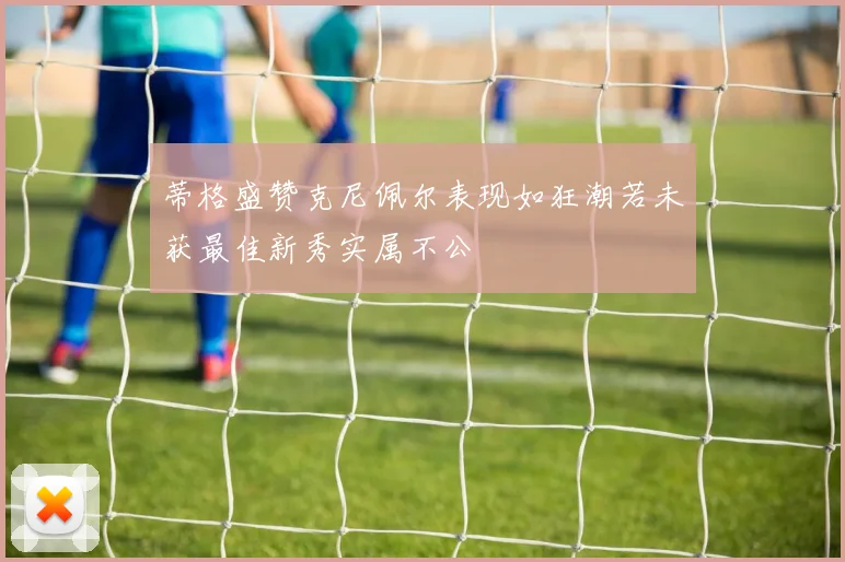蒂格盛赞克尼佩尔表现如狂潮若未获最佳新秀实属不公