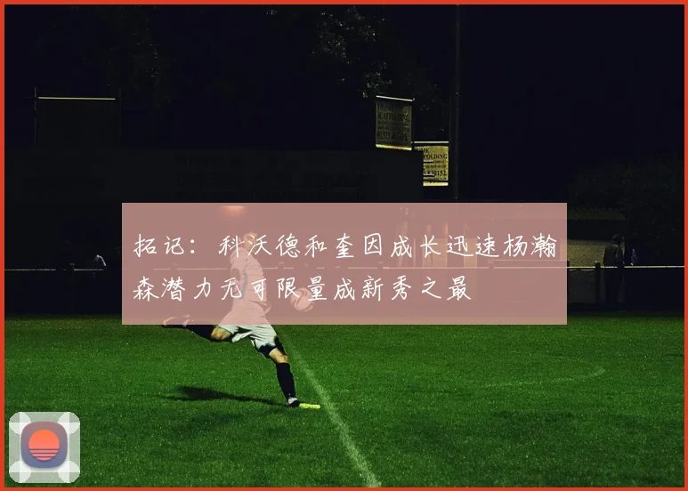 拓记：科沃德和奎因成长迅速杨瀚森潜力无可限量成新秀之最